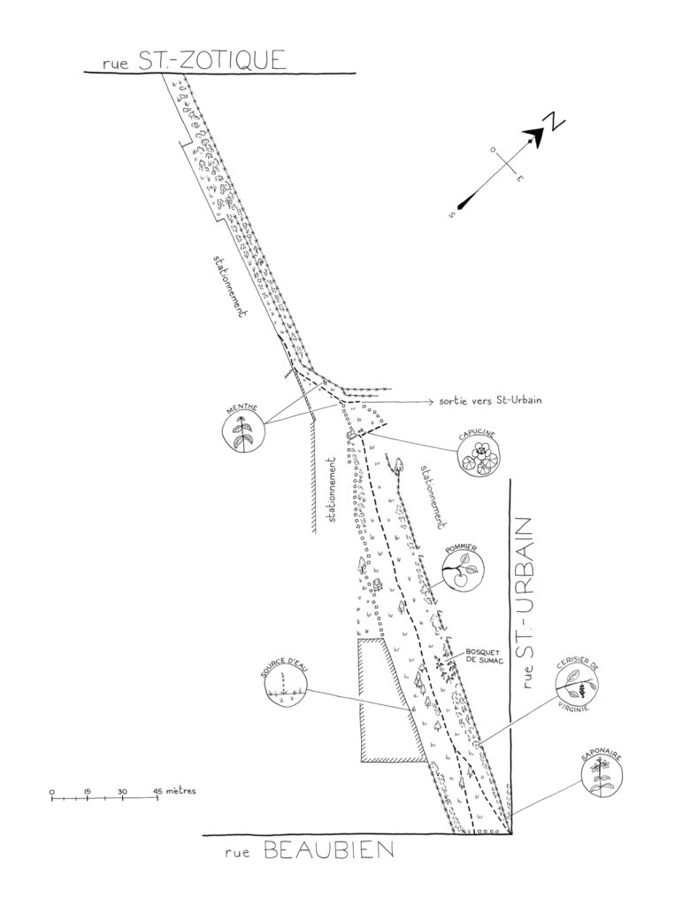 Une «cartographie éphémère» du site a été réalisée par Dominique Ferraton dans le cadre d'un ouvrage sur les terrains vagues de Montréal.