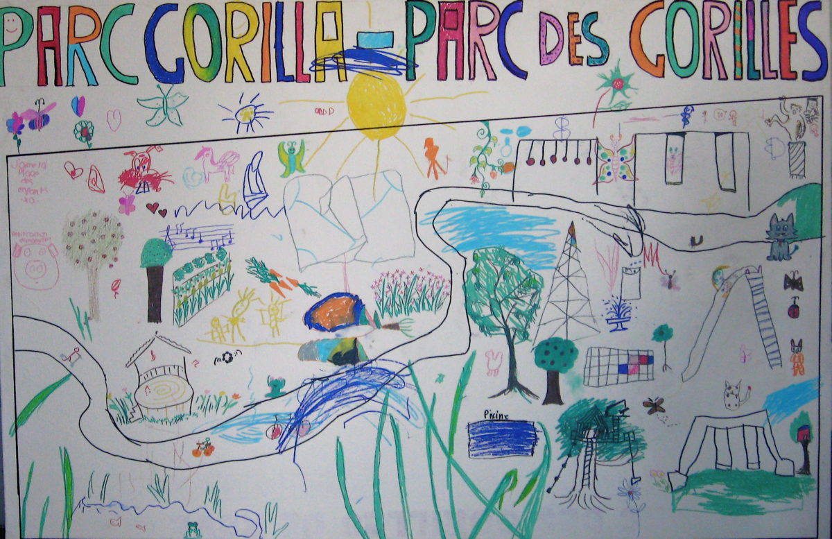 Projets participatifs au parc des Gorilles 🌳🦍🌲