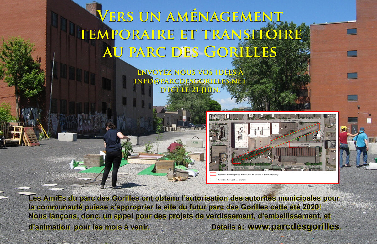 Vers un aménagement temporaire et transitoire au parc des Gorilles en 2020!